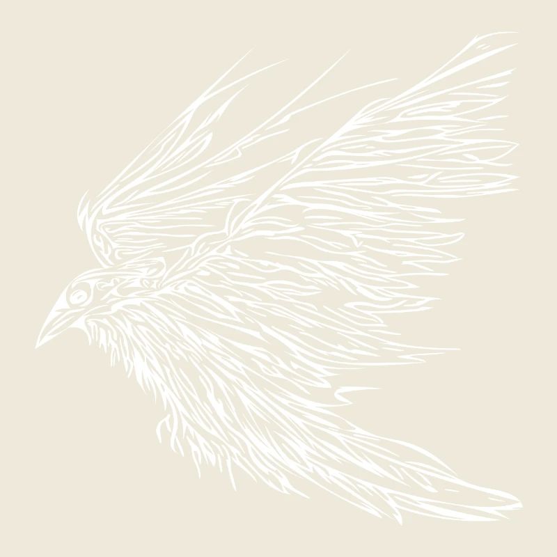 Corbeau volant