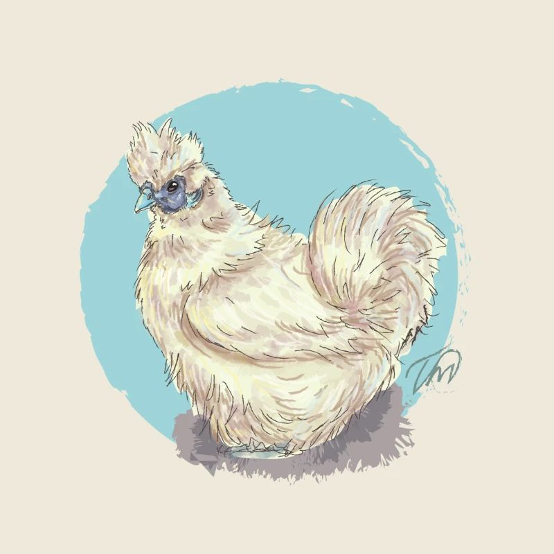 White silk hen