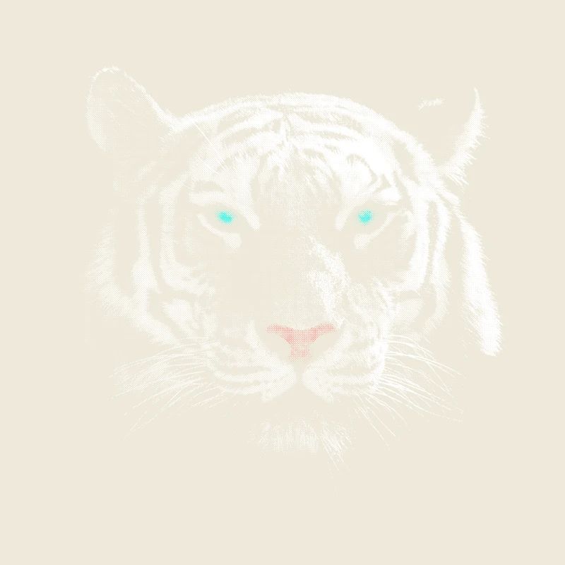 Tigre blanc