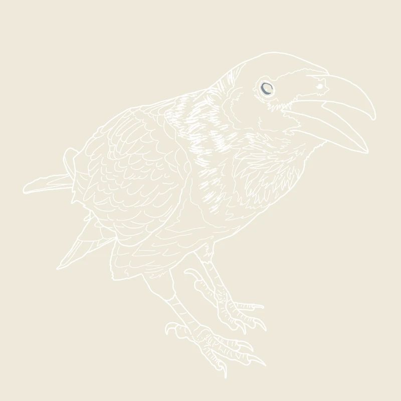 Krähe lineart