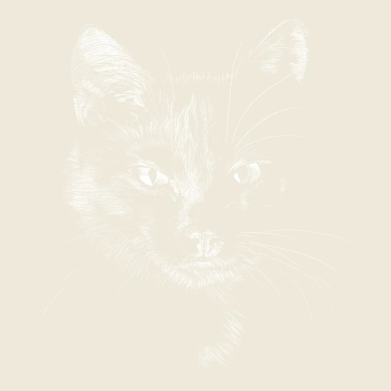 Chat noir