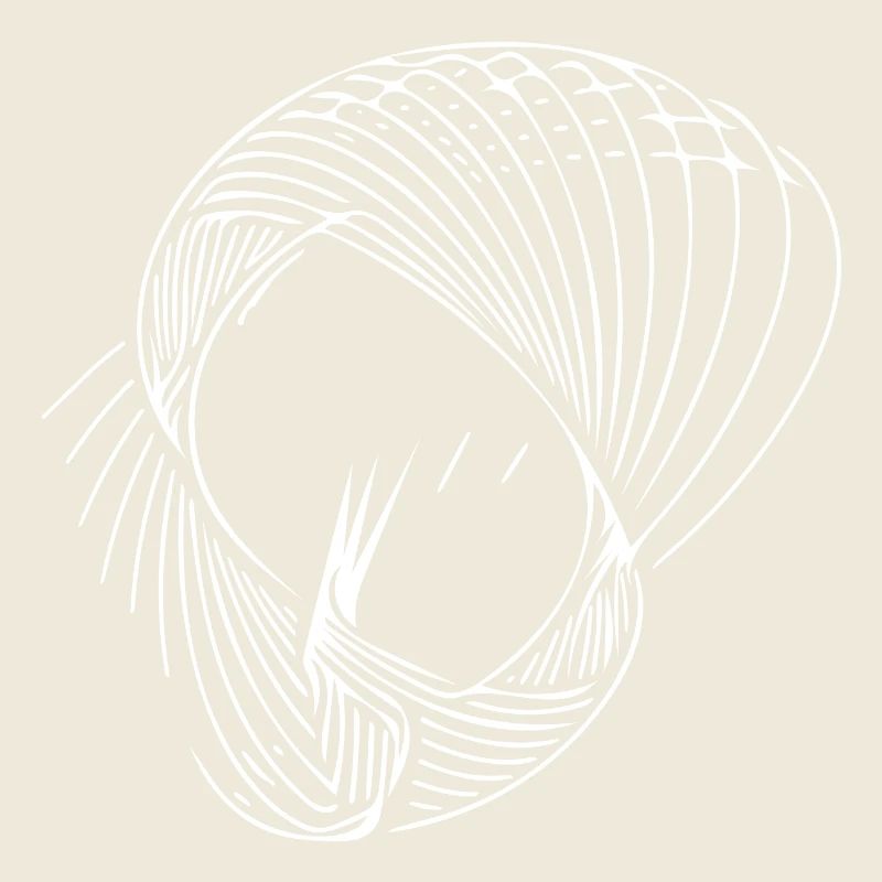 Lignes de cercle géométriques