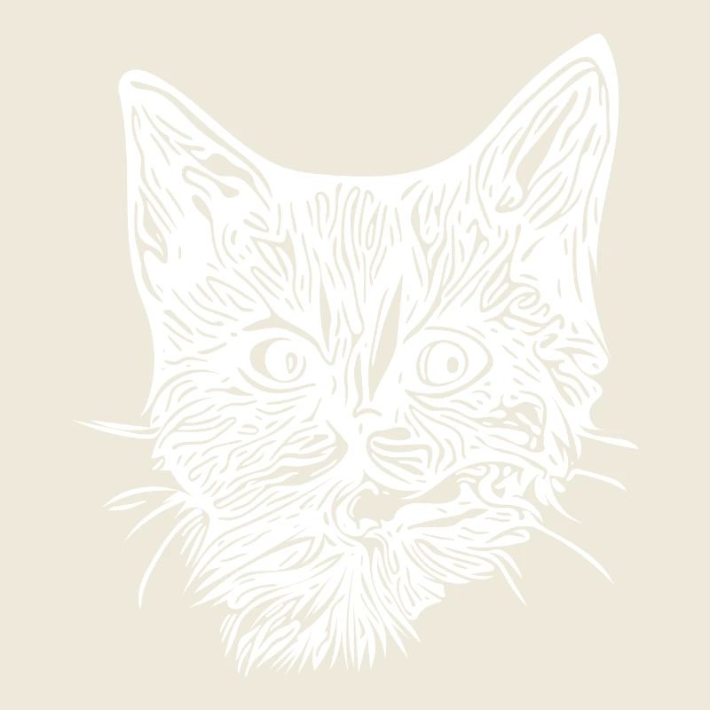 Chaton mignon et mignon