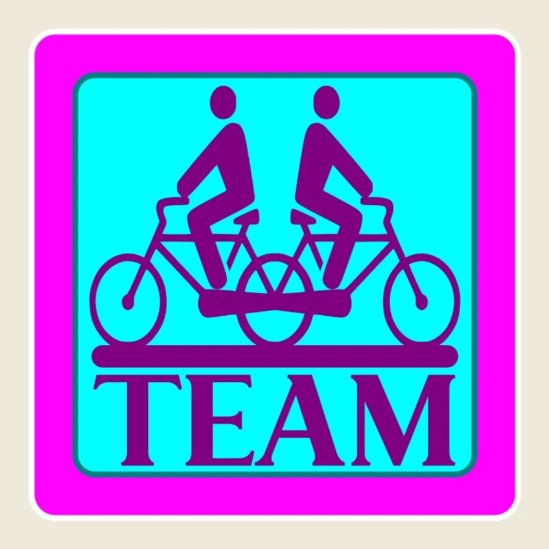 TEAM PROBLEMS - BIKE
