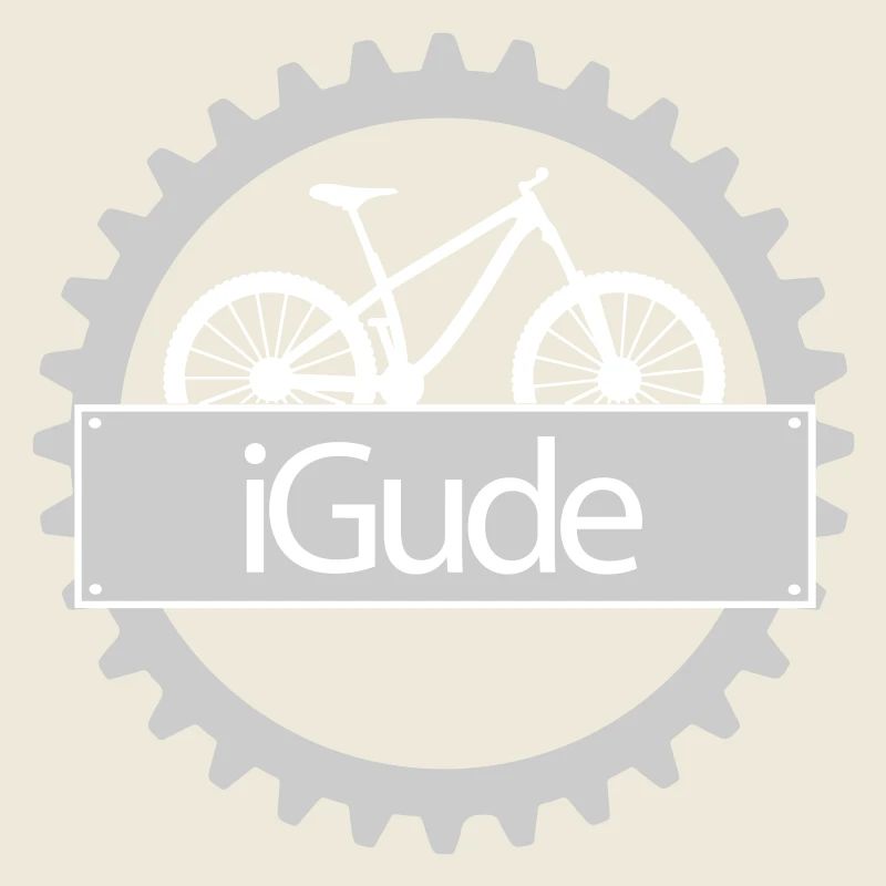 iGude Zahnrad MTB hell