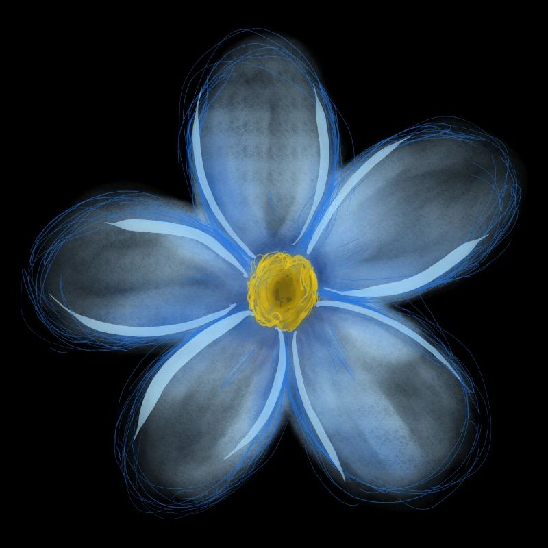 Myosotis
