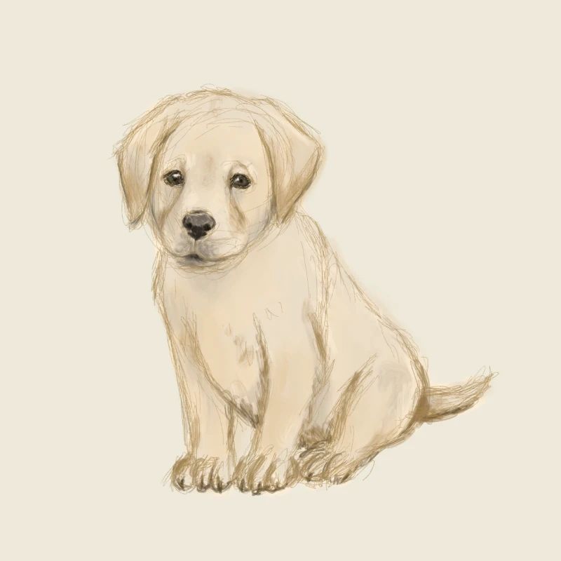 Croquis beige de chiot à l’aquarelle