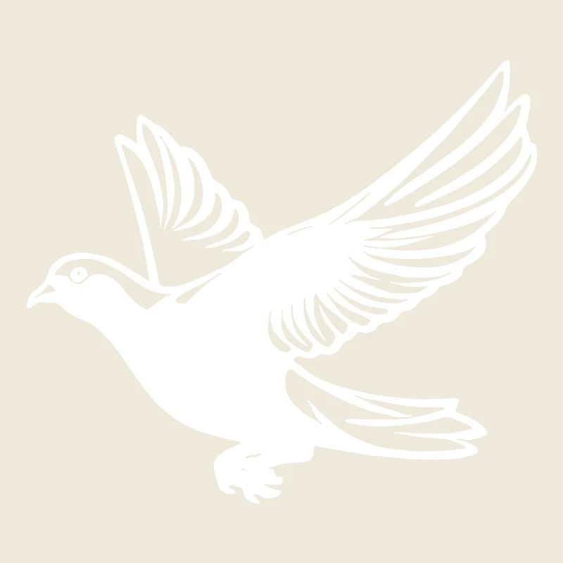 Pigeon in flight with wings