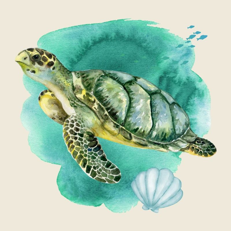 Tortue de mer dans l’océan