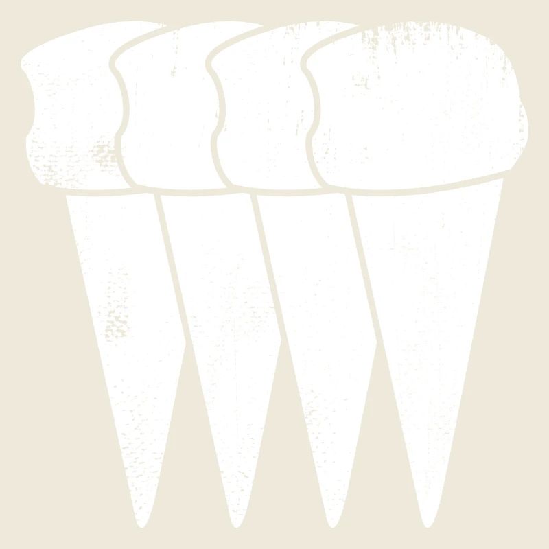 Cornets de crème glacée