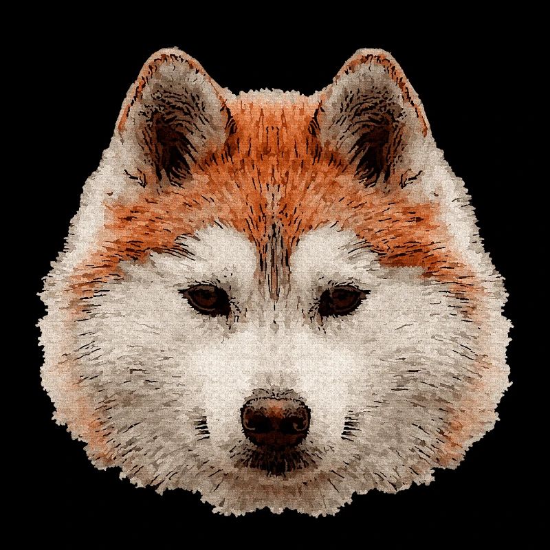 schlittenhunde, Huskykopf wasserfarboptik