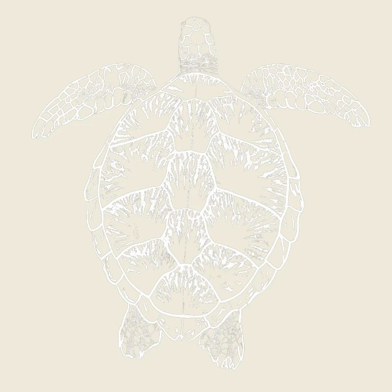 Turtle white2