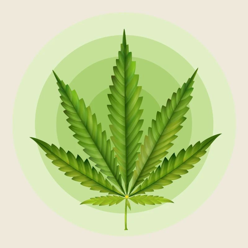 Circular Grafic Cannabis Leaf