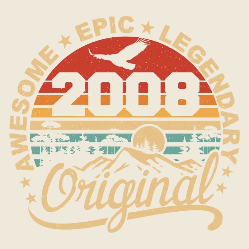 Original 2008 Retro 2008 Geburtstagsgeschenk 2008