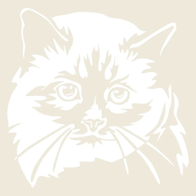 Birma Katze "Black Edition"