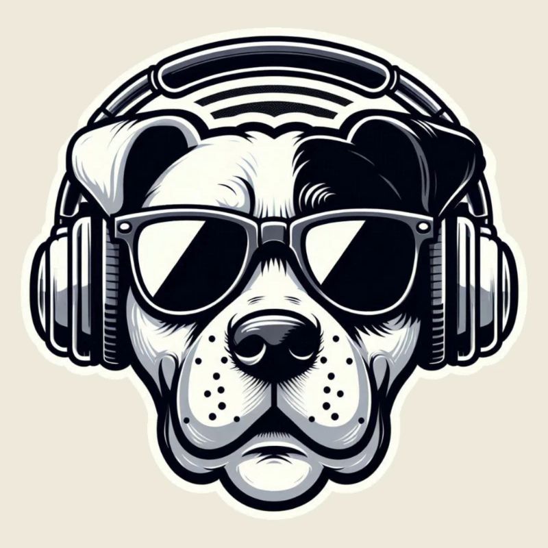 Chien Casque Lunettes Cool