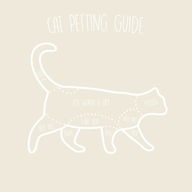 Guide de caresses pour chat