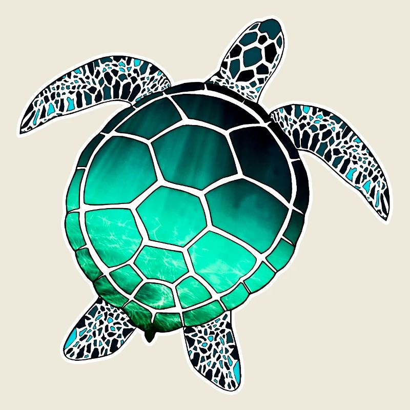 Tortue marine