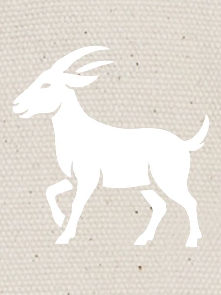 Bouc