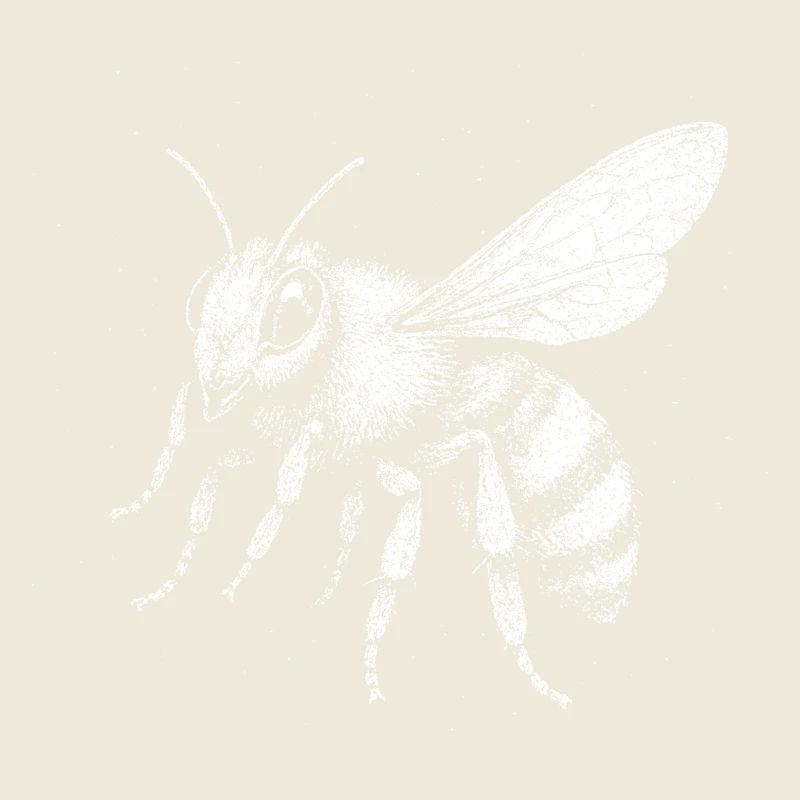 Une abeille