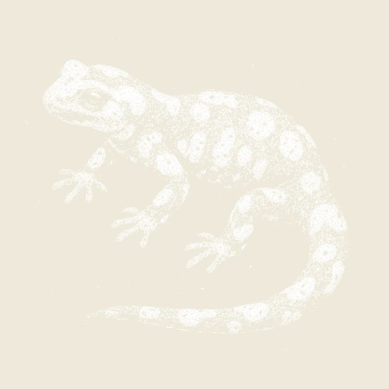 Feuersalamander