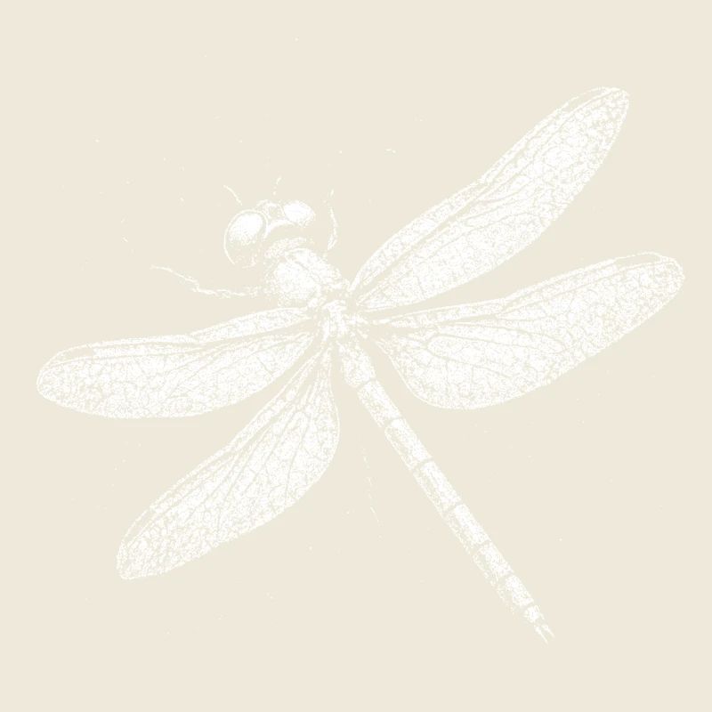 Libellule