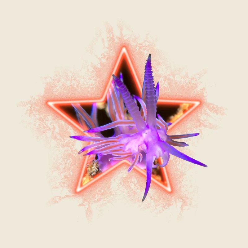 Flabellina im Stern