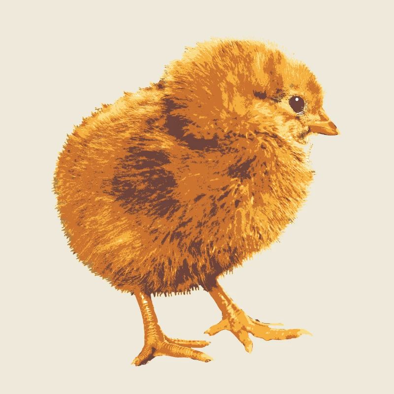 Küken im Goldflaum