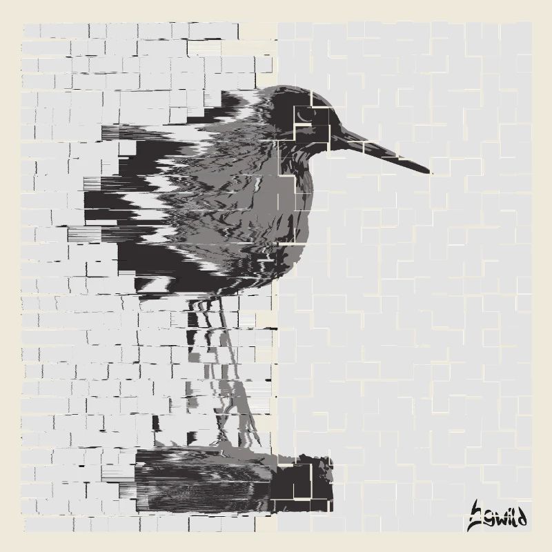 Rotschenkel (Tringa totanus) Glitch Noir