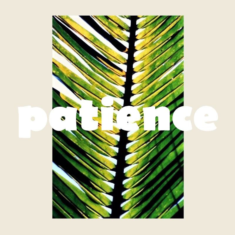 patience
