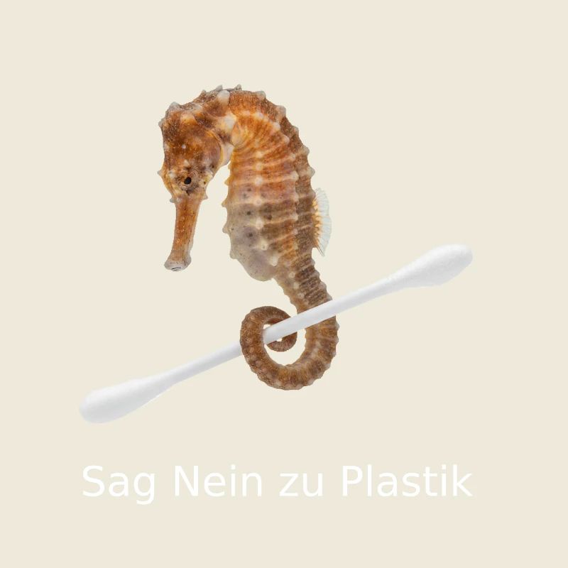 Seepferdchen gegen Plastik