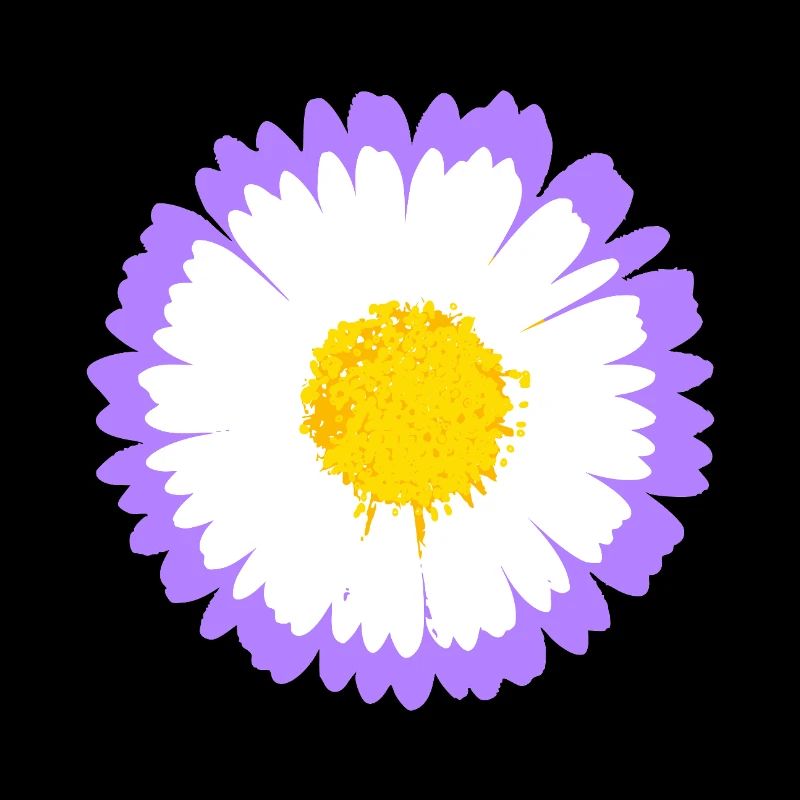 Purple Daisy Bloom with Yellow Core
