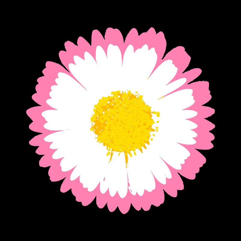 Rosa Gänseblümchen-Kante