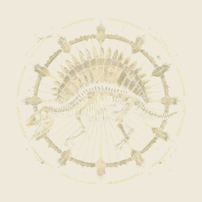 Stegosaurus Skelett – Kosmisches Boho Fossil