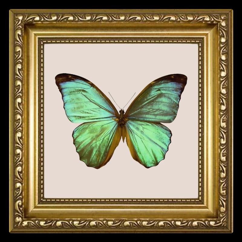 Emerald Butterfly in Gold Frame