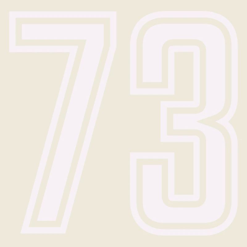 73