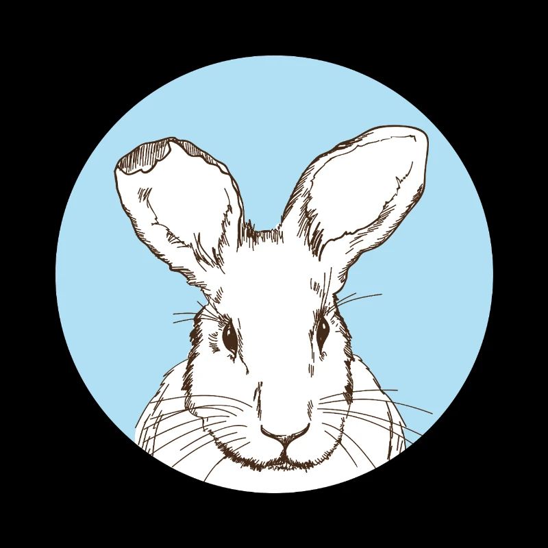 Lapin