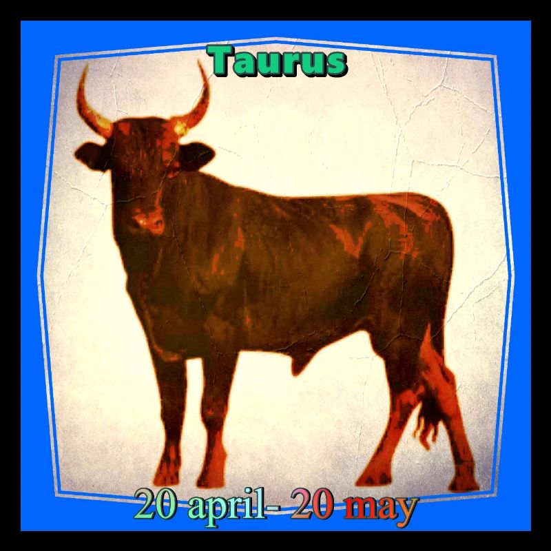 Stier