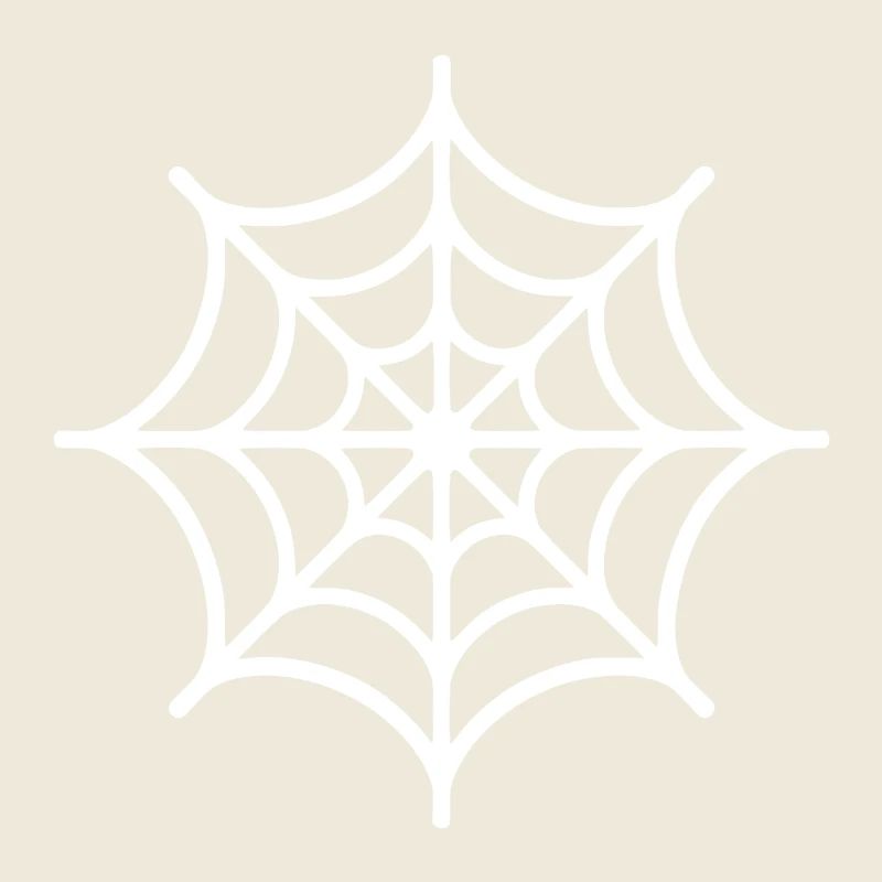 Spinnennetz Spinne