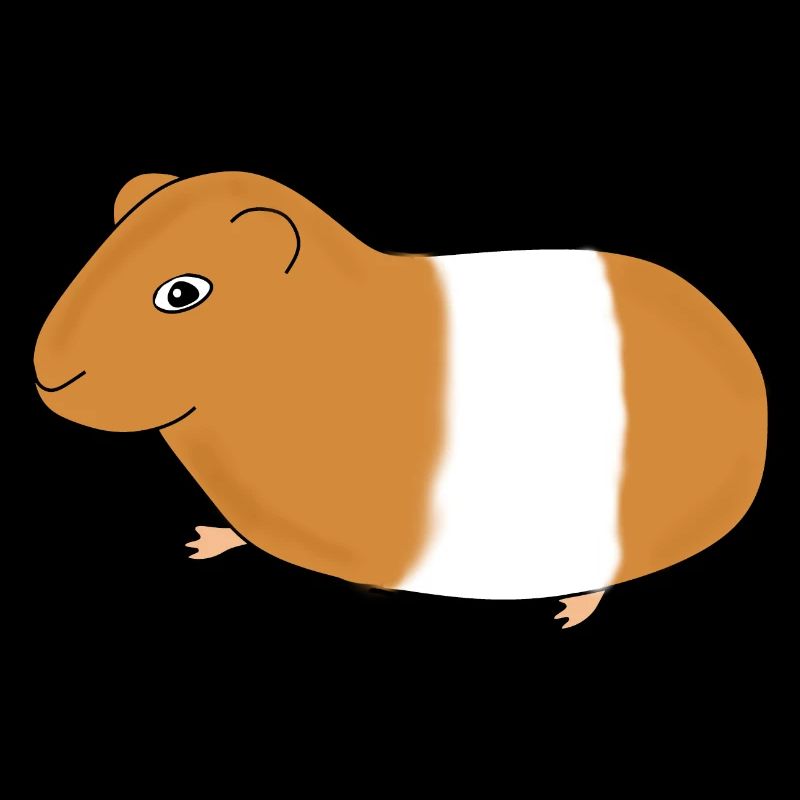 Meerschweinchen