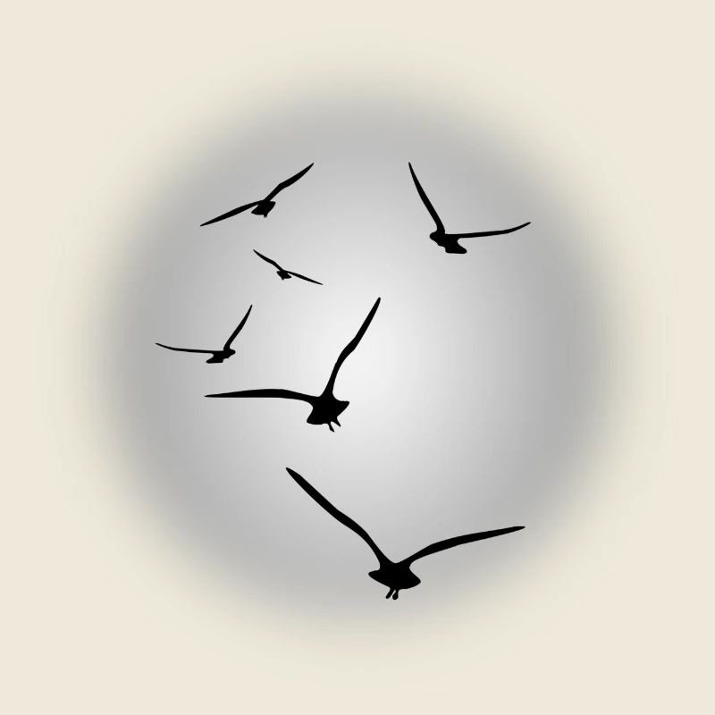 vol d'oiseaux