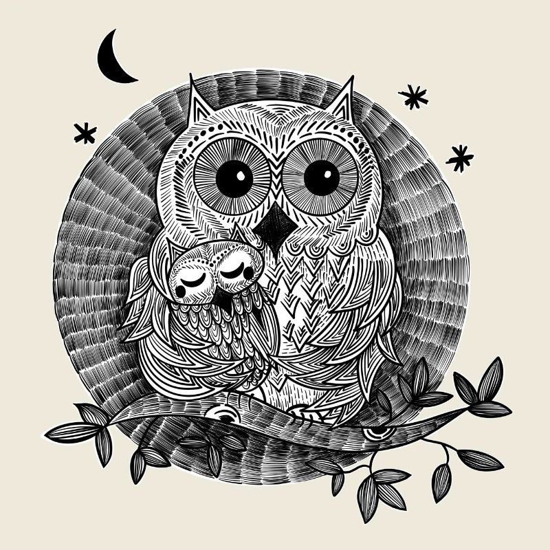 Illustration hiboux noir et blanc