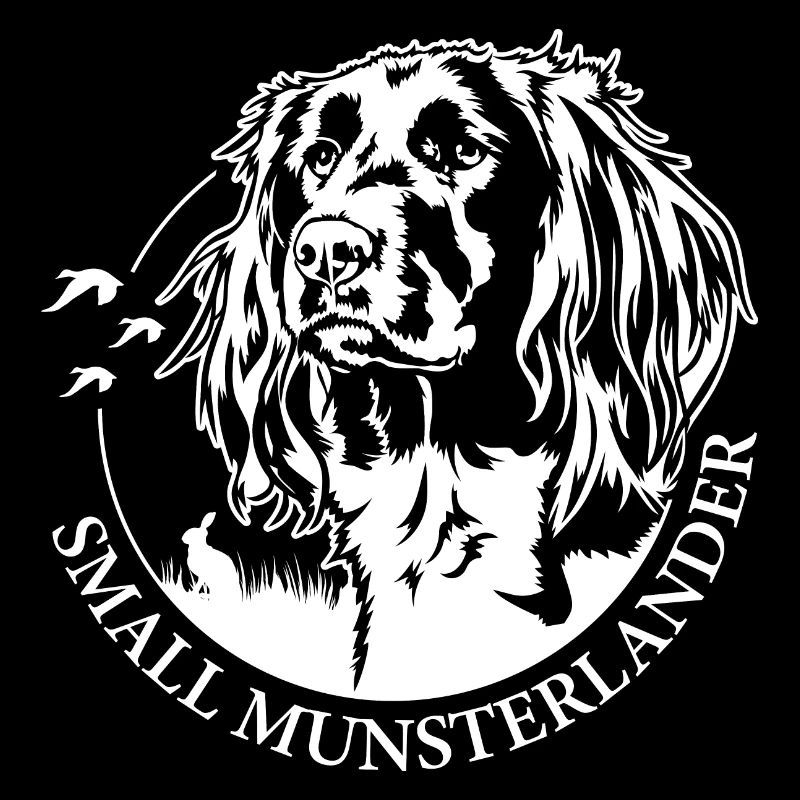 PETIT MUNSTERLANDER Chien de chasse Chiens de chasse Wilsigns