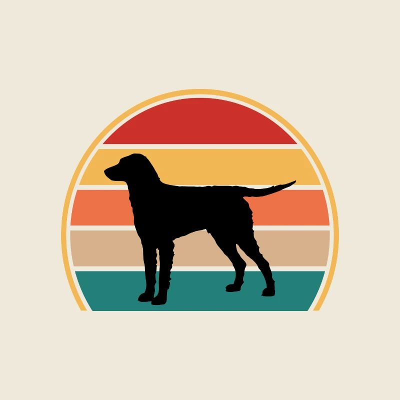 Pelly Coated Retriever Dog Silhouette Retro Sunset