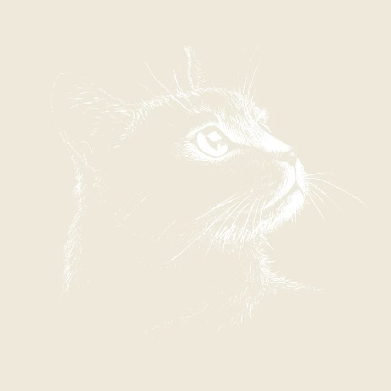 Cat Portrait (white)