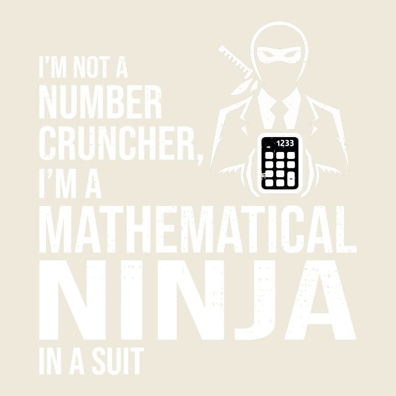 Mathematical Ninja Accounting Accountant Finance