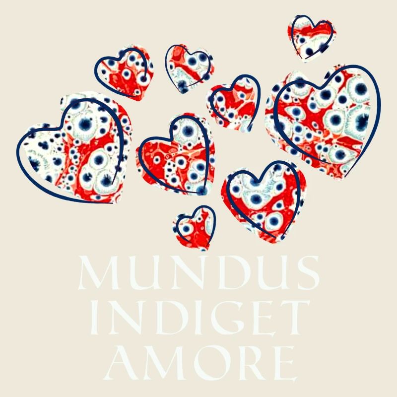 Mundus Indiget Amore E 260
