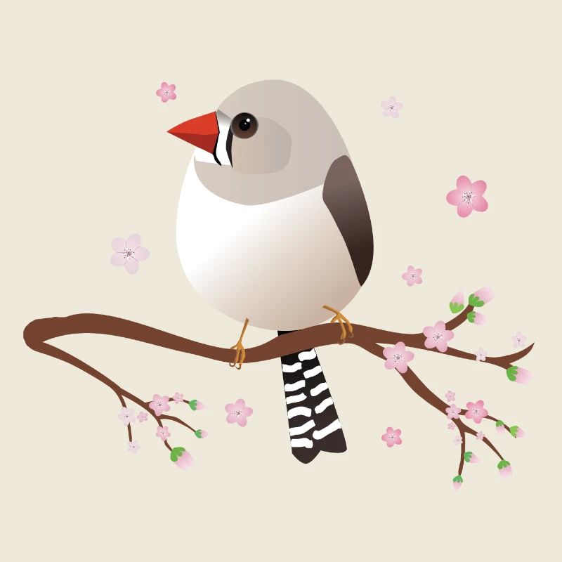 Cute bulbous zebra finch