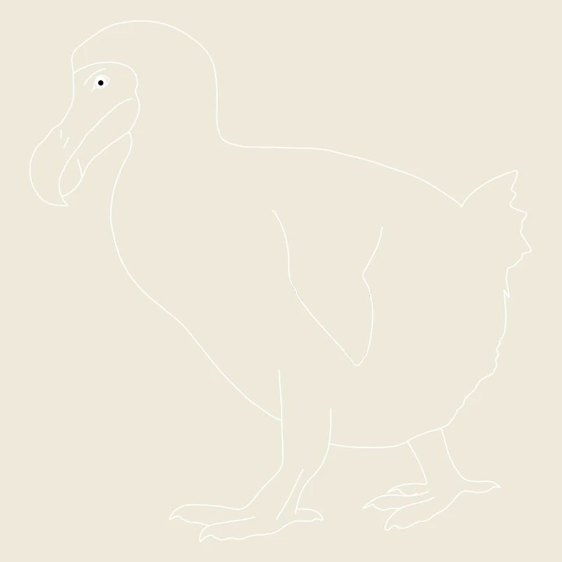 Dodo