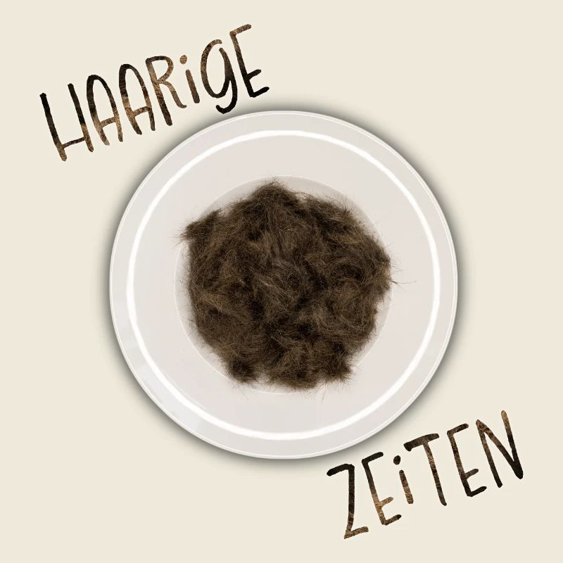 Haarige Zeiten